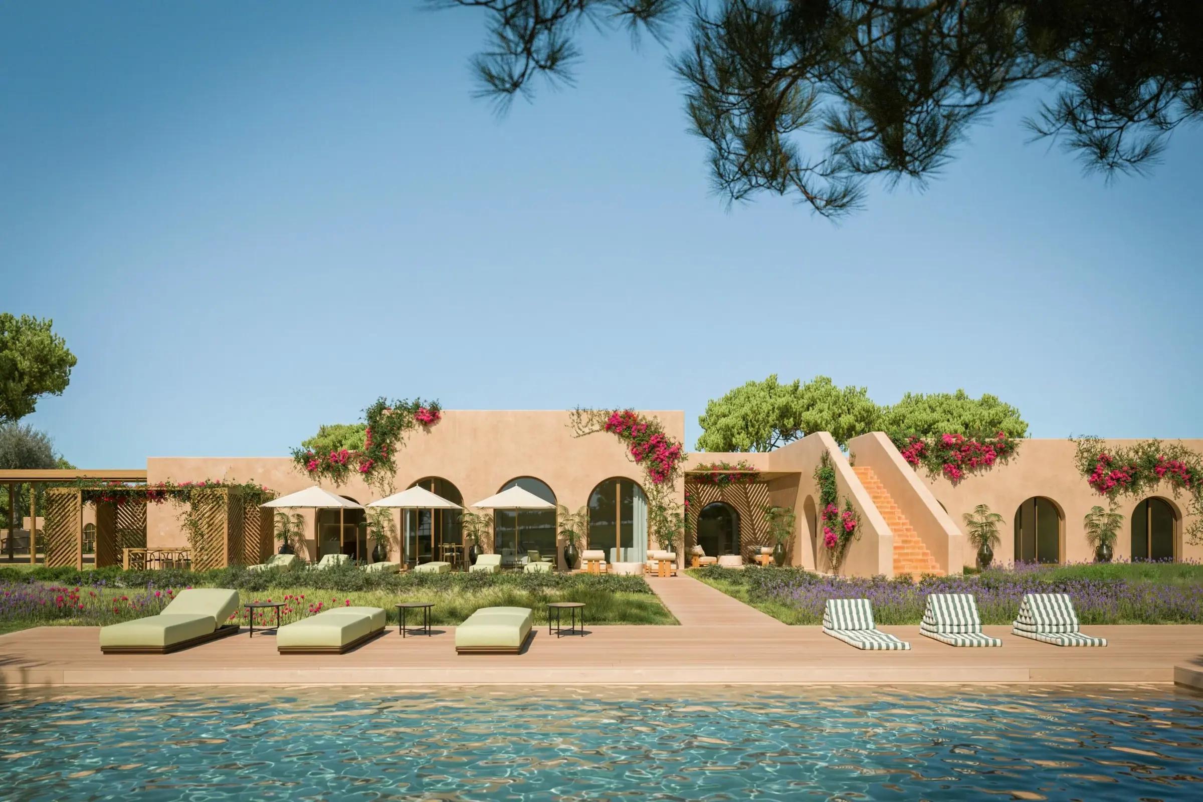 Villa terrace and pool among umbrella pines